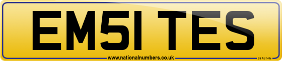 EM51 TES