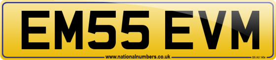 EM55 EVM