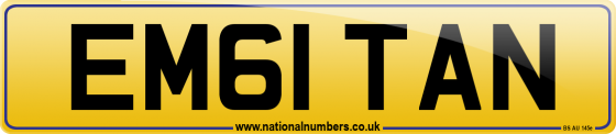 EM61 TAN