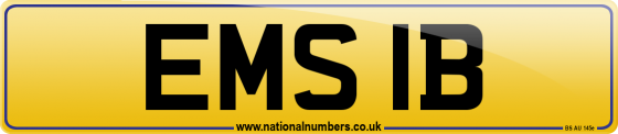 EMS 1B