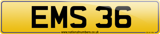 EMS 36
