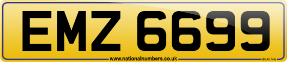 EMZ 6699