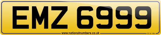 EMZ 6999