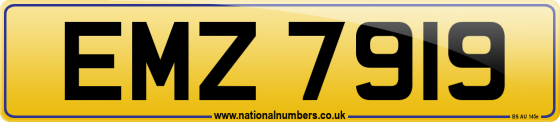 EMZ 7919