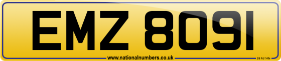 EMZ 8091