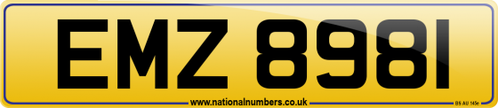 EMZ 8981