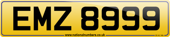 EMZ 8999