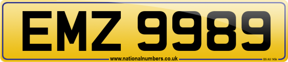 EMZ 9989