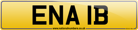 ENA 1B