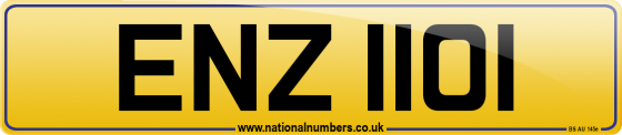 ENZ 1101