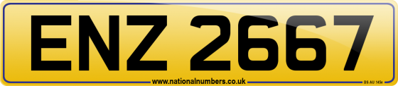 ENZ 2667