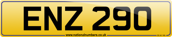 ENZ 290