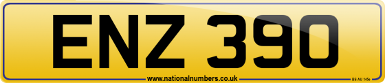 ENZ 390