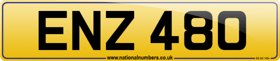 ENZ 480