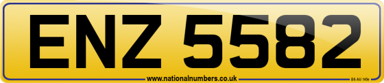 ENZ 5582