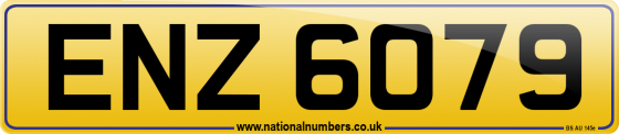 ENZ 6079