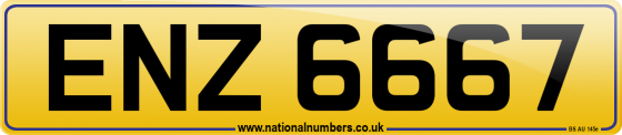 ENZ 6667