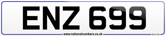 ENZ 699