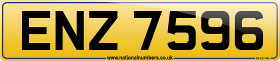 ENZ 7596