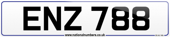 ENZ 788