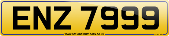 ENZ 7999