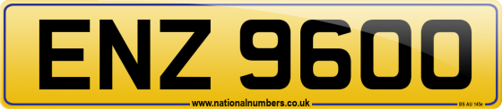 ENZ 9600