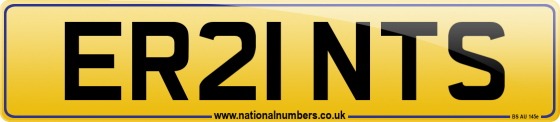 ER21 NTS