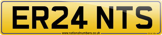 ER24 NTS