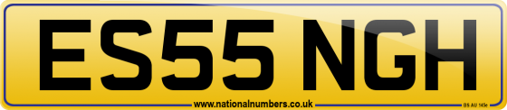 ES55 NGH