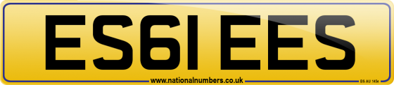 ES61 EES