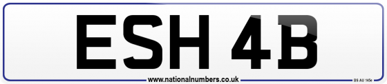 ESH 4B