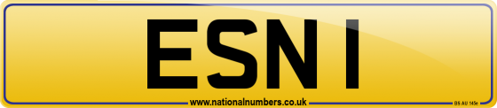 ESN 1