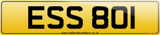 ESS 801
