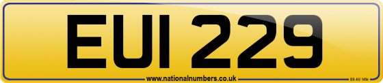 EUI 229