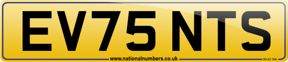 EV75 NTS