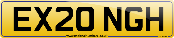 EX20 NGH