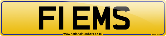 F1 EMS