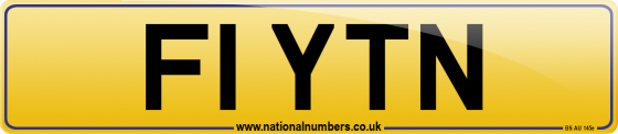 F1 YTN