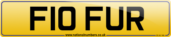 F10 FUR