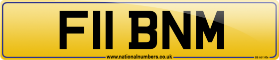F11 BNM