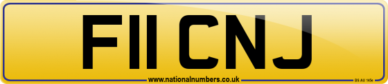 F11 CNJ
