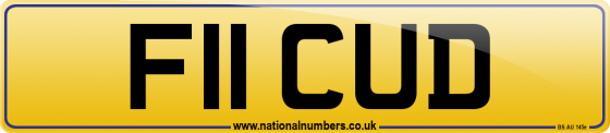 F11 CUD