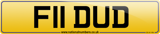 F11 DUD