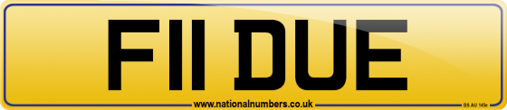 F11 DUE