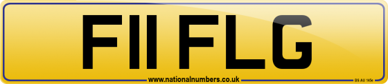 F11 FLG