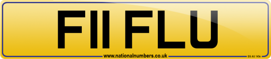 F11 FLU