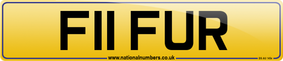 F11 FUR