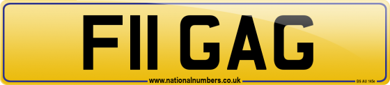 F11 GAG