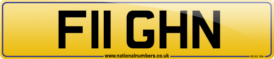 F11 GHN