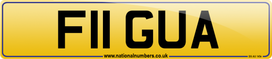 F11 GUA